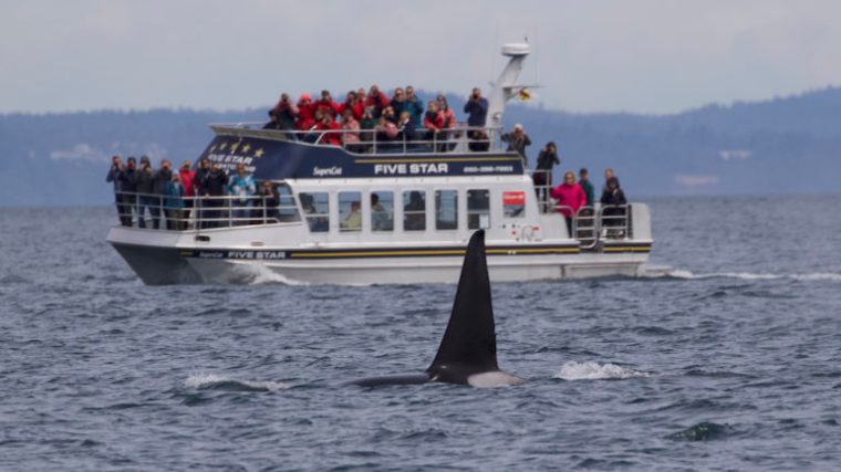 a small boat in a large body of water