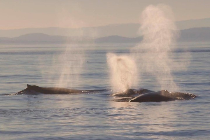 a large body of water