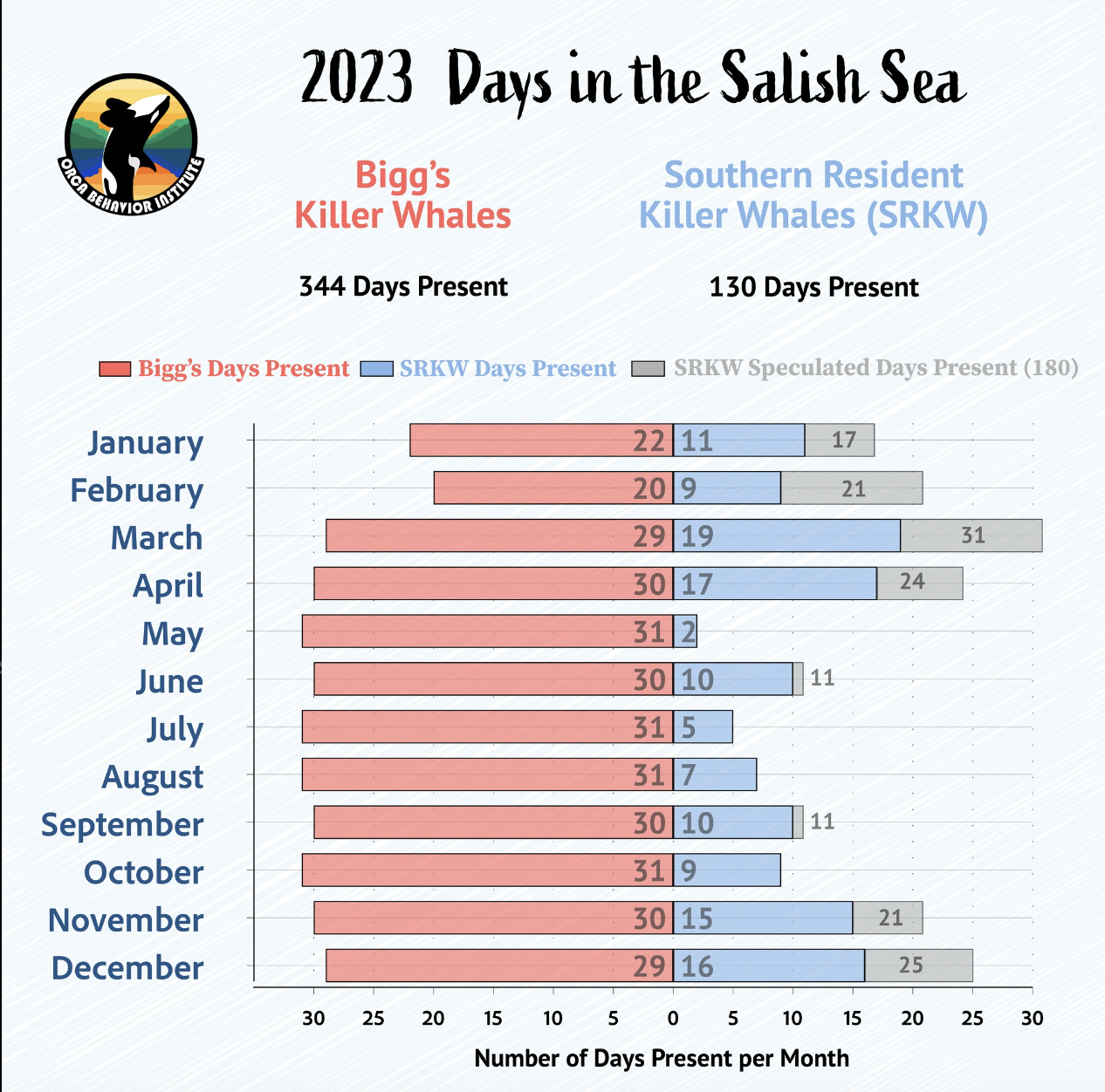 Orcas Sightings In The Salish Sea In 2023! | Five Star Whale Watching