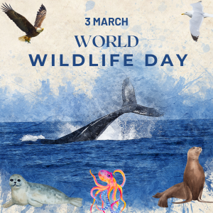 world wildlife day