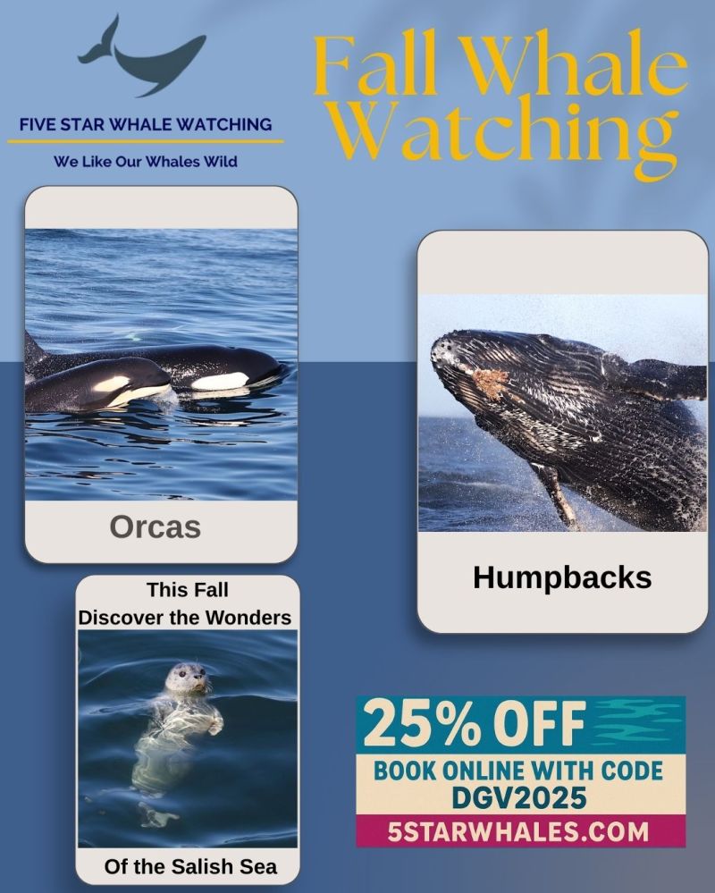 Whale watching ad with pictures of orcas, humpbacks, seal, and 25% off promo code.