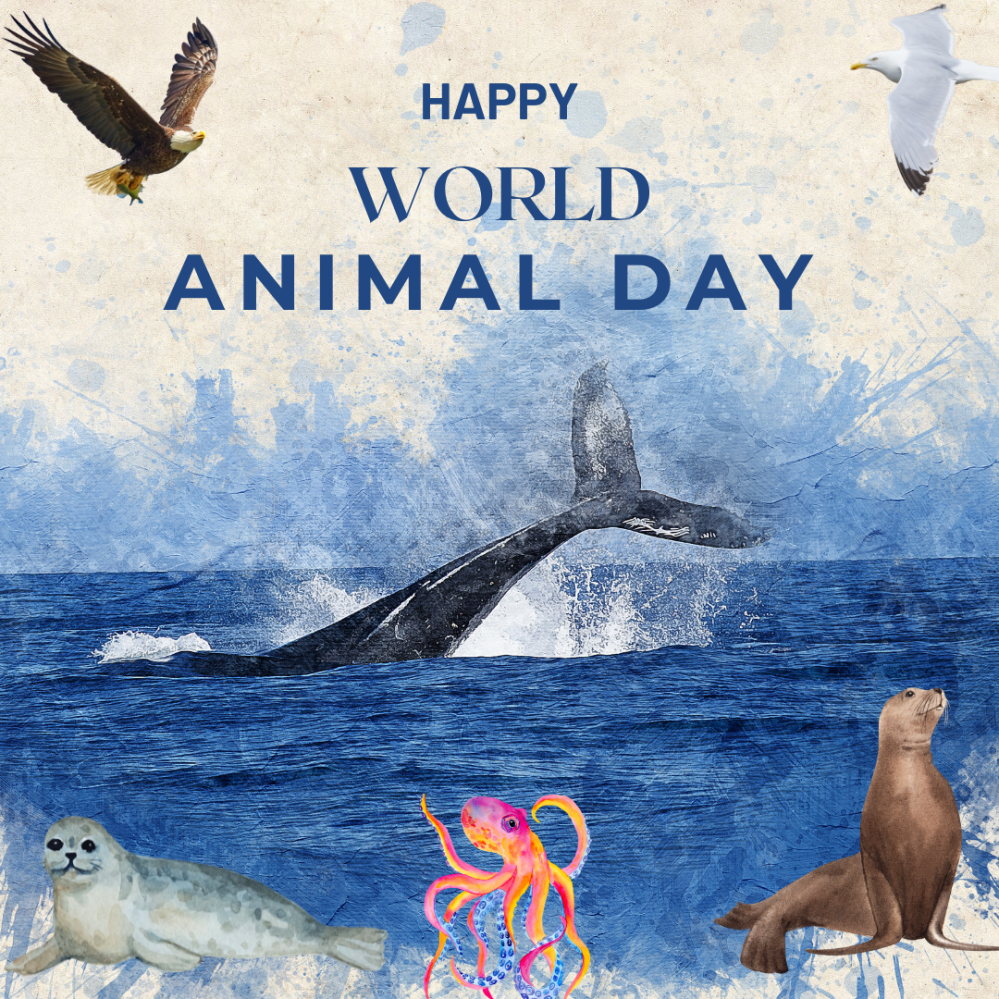 Happy World Animal Day image with a whale, seal, octopus, eagle, seagull, and sea lion.