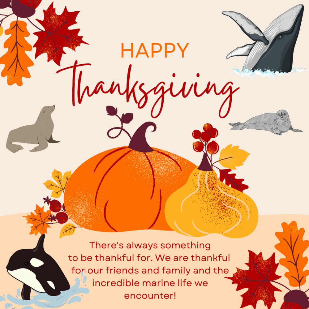 Thanksgiving greeting with pumpkins, fall leaves, and marine animals.