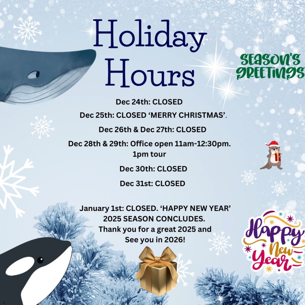 Holiday hours notice with whale, penguin, snowflakes, and greeting elements. Includes closed dates and open times.