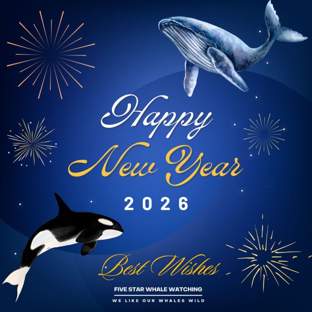 Happy New Year 2026 with whales and fireworks on a blue background.